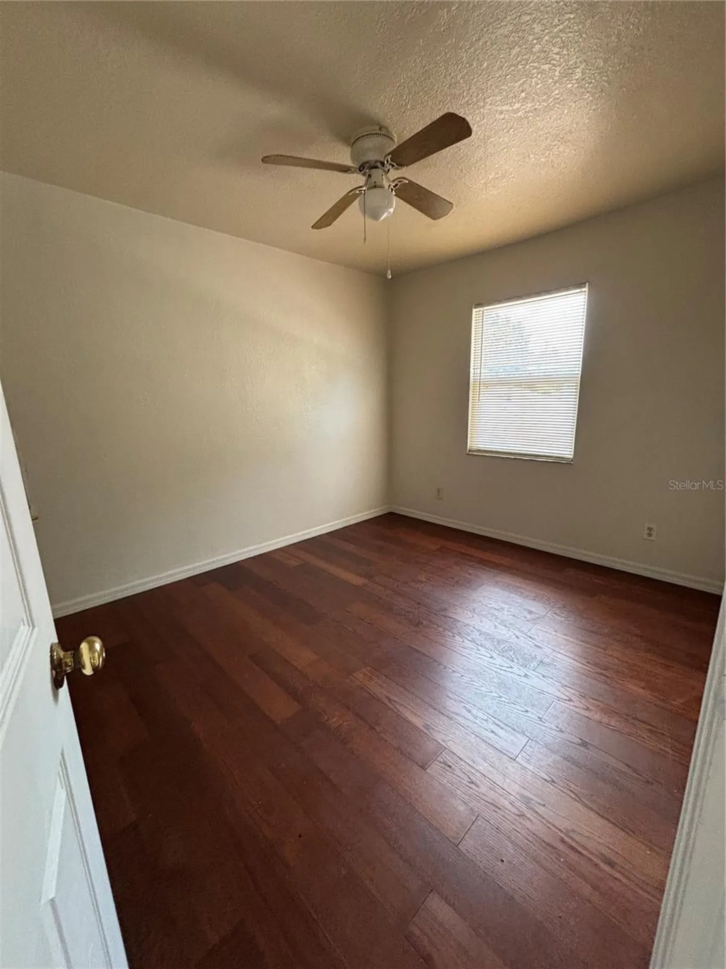 1217 Carolyn Lane Clearwater FL 33755