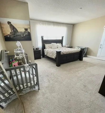 3060 Crispin Circle Harmony FL 34773