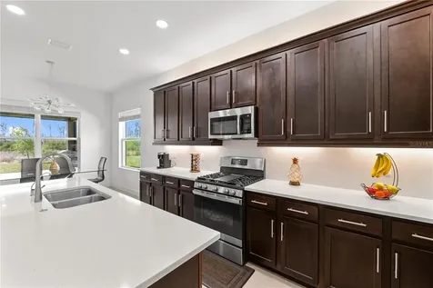 32558 Tree Of Life Avenue Wesley Chapel FL 33543