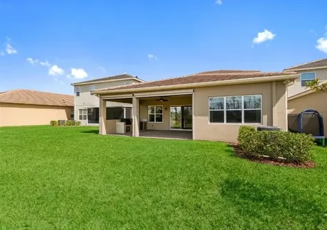 32558 Tree Of Life Avenue Wesley Chapel FL 33543