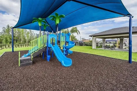 32558 Tree Of Life Avenue Wesley Chapel FL 33543