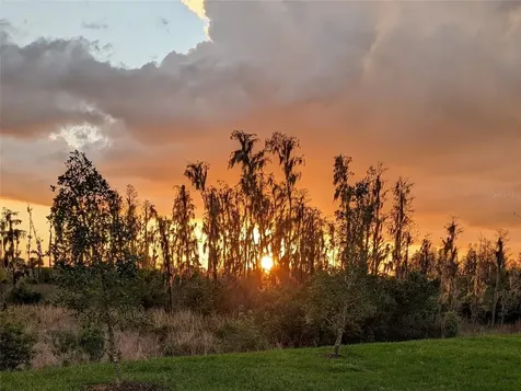 32558 Tree Of Life Avenue Wesley Chapel FL 33543
