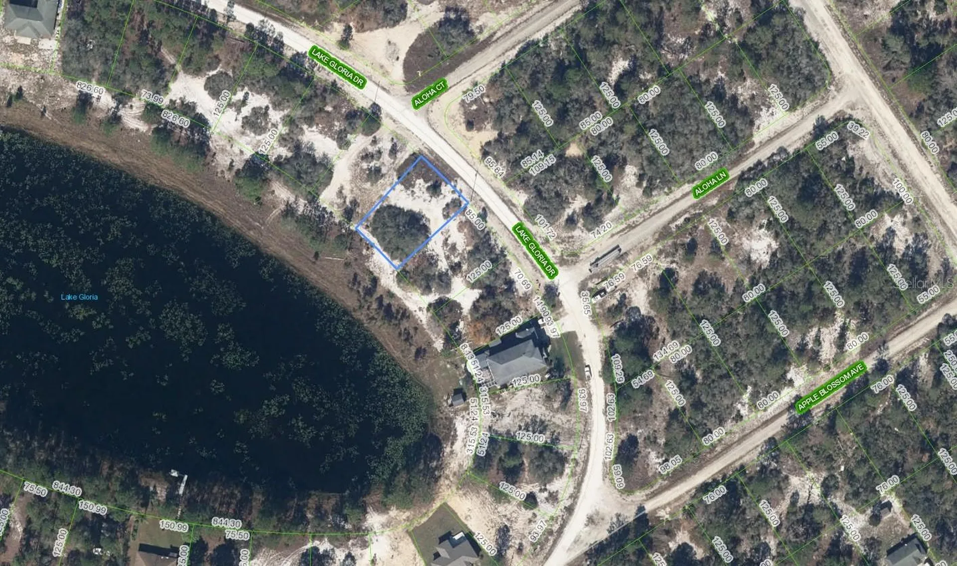 454 Lake Gloria Drive Lake Placid FL 33852