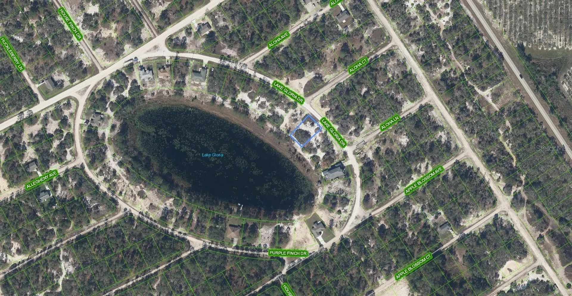 454 Lake Gloria Drive Lake Placid FL 33852