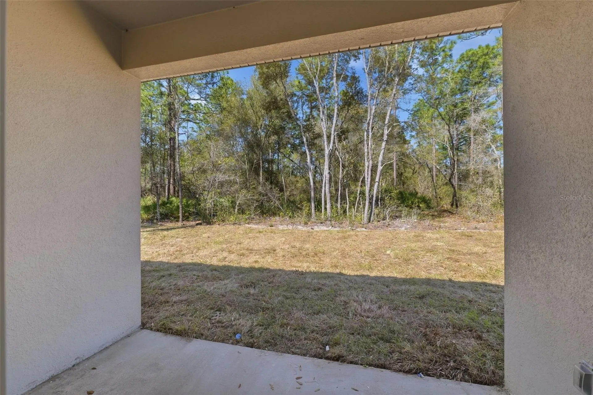3737 W Capricorn Lane Citrus Springs FL 34433