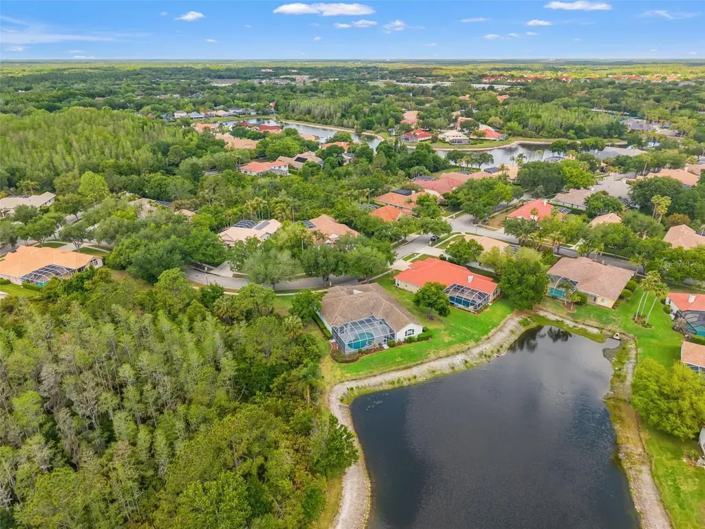 17905 Arbor Greene Drive Tampa FL 33647