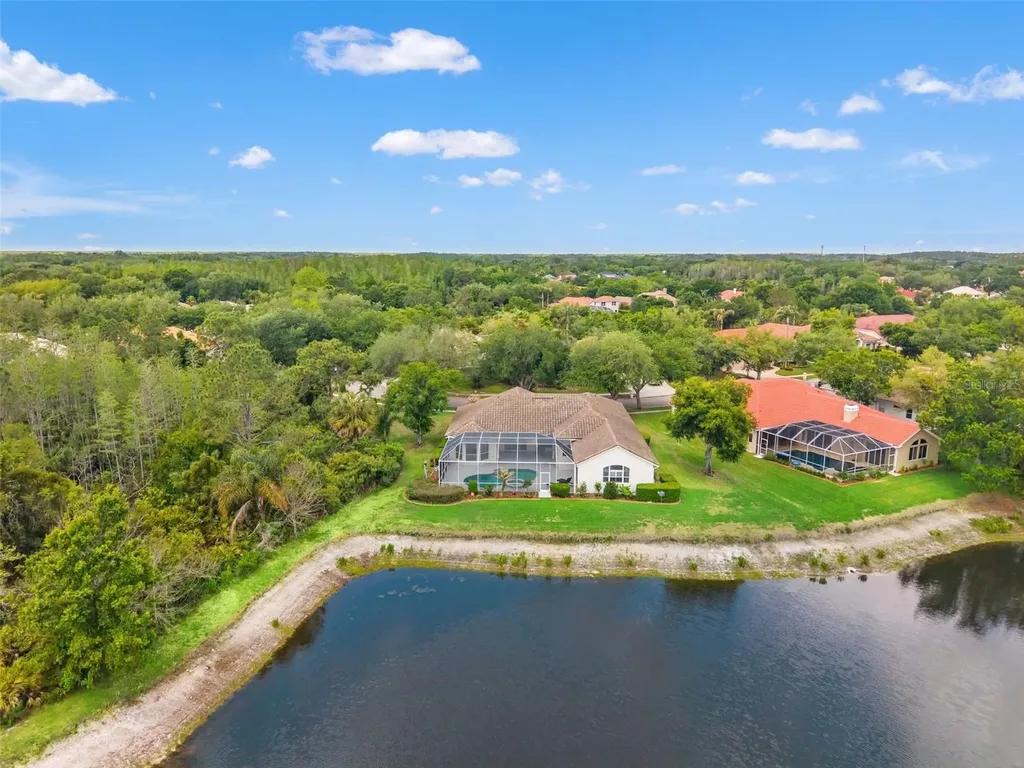 17905 Arbor Greene Drive Tampa FL 33647