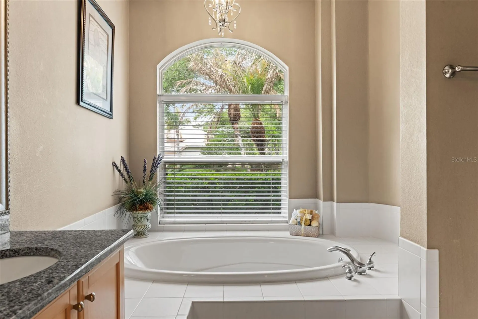 17905 Arbor Greene Drive Tampa FL 33647