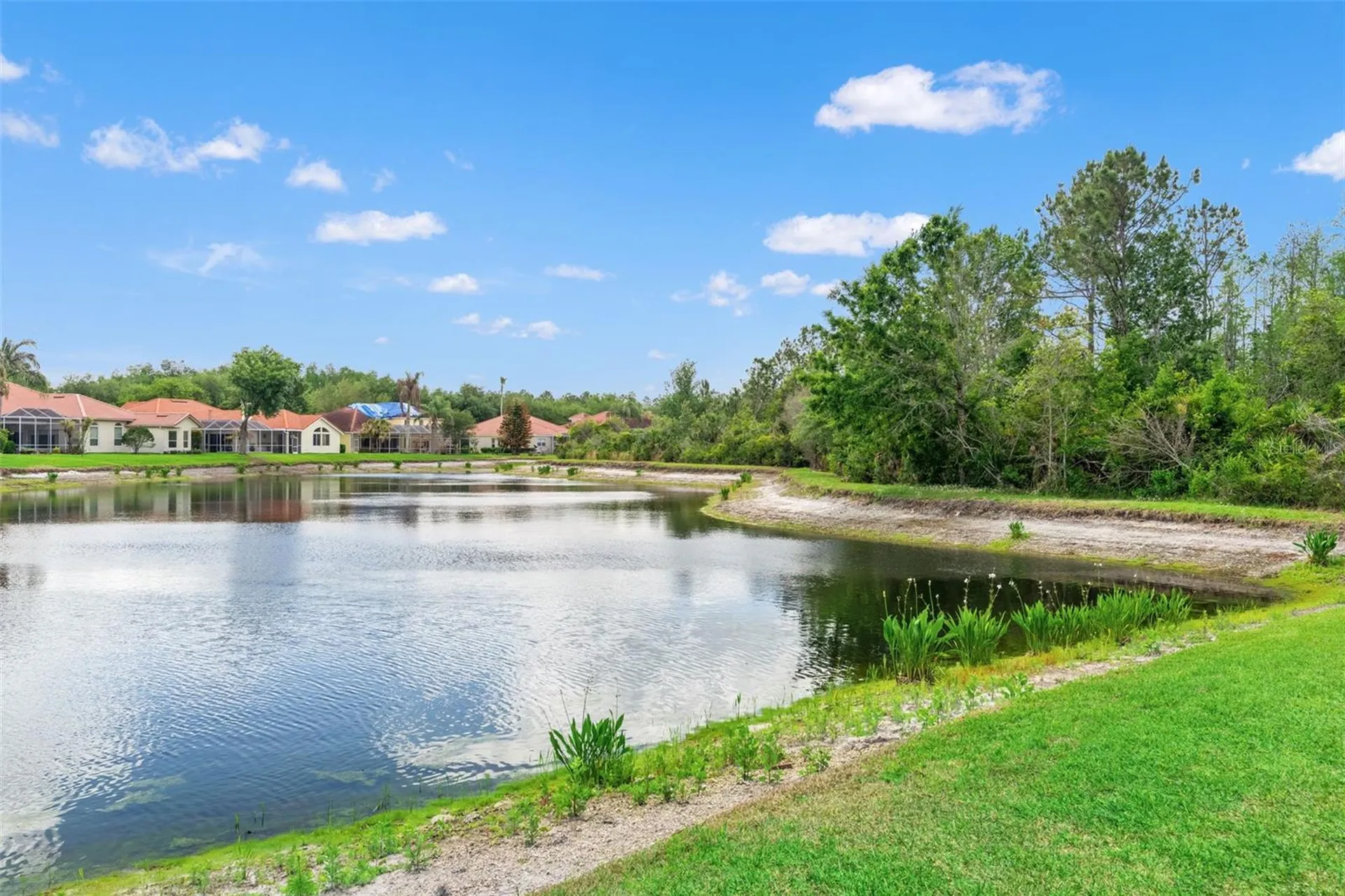 17905 Arbor Greene Drive Tampa FL 33647
