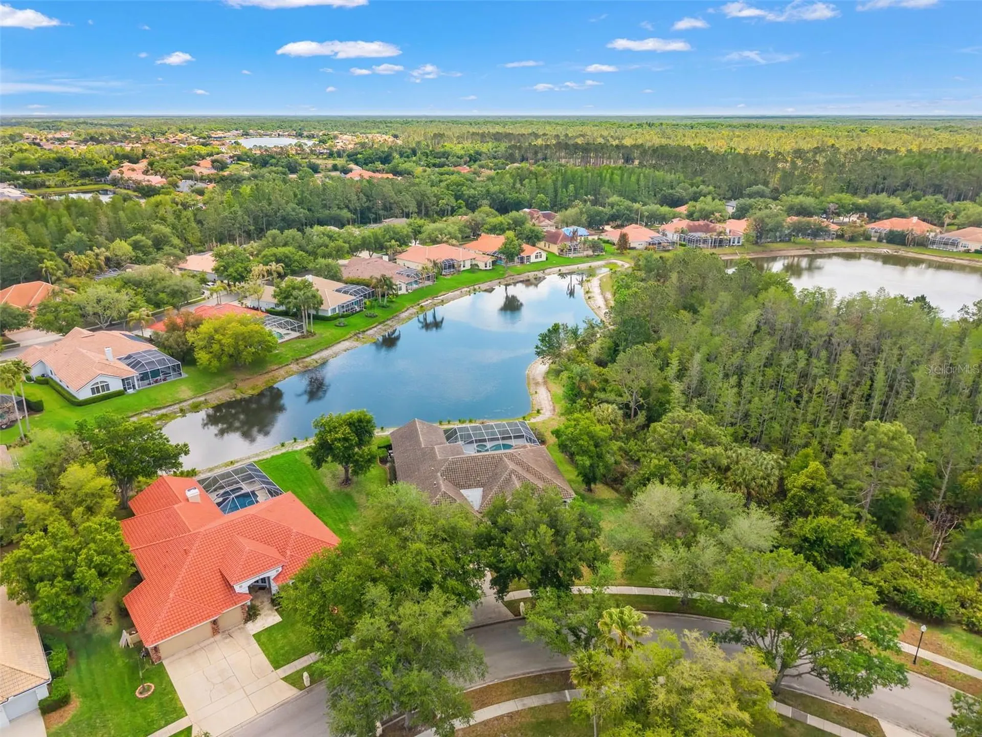 17905 Arbor Greene Drive Tampa FL 33647