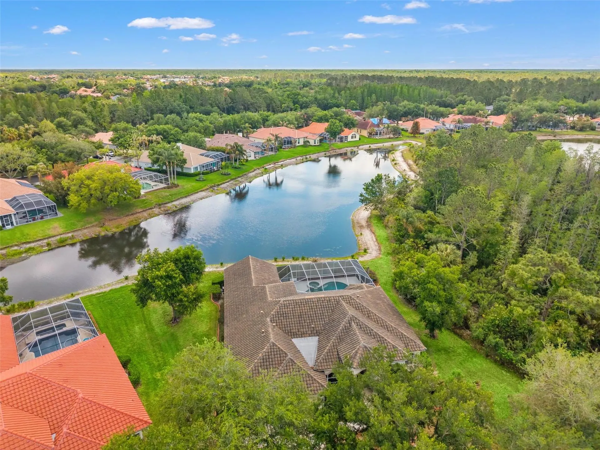 17905 Arbor Greene Drive Tampa FL 33647