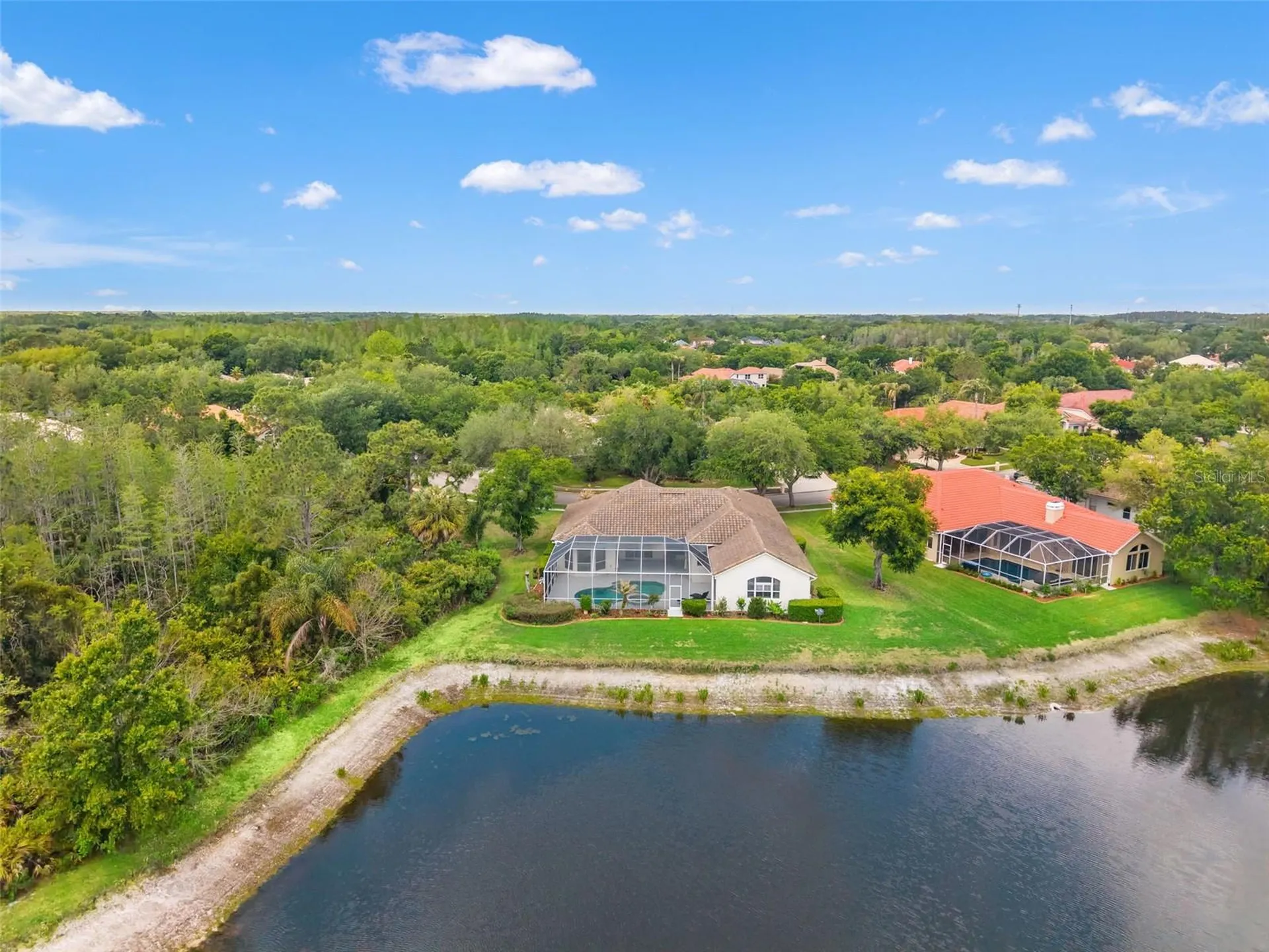 17905 Arbor Greene Drive Tampa FL 33647