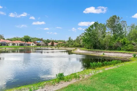 17905 Arbor Greene Drive Tampa FL 33647