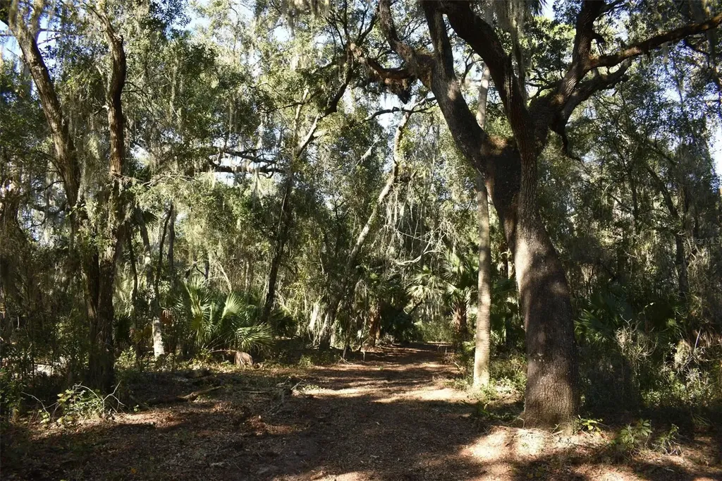 13800 County Road 450 Umatilla FL 32784