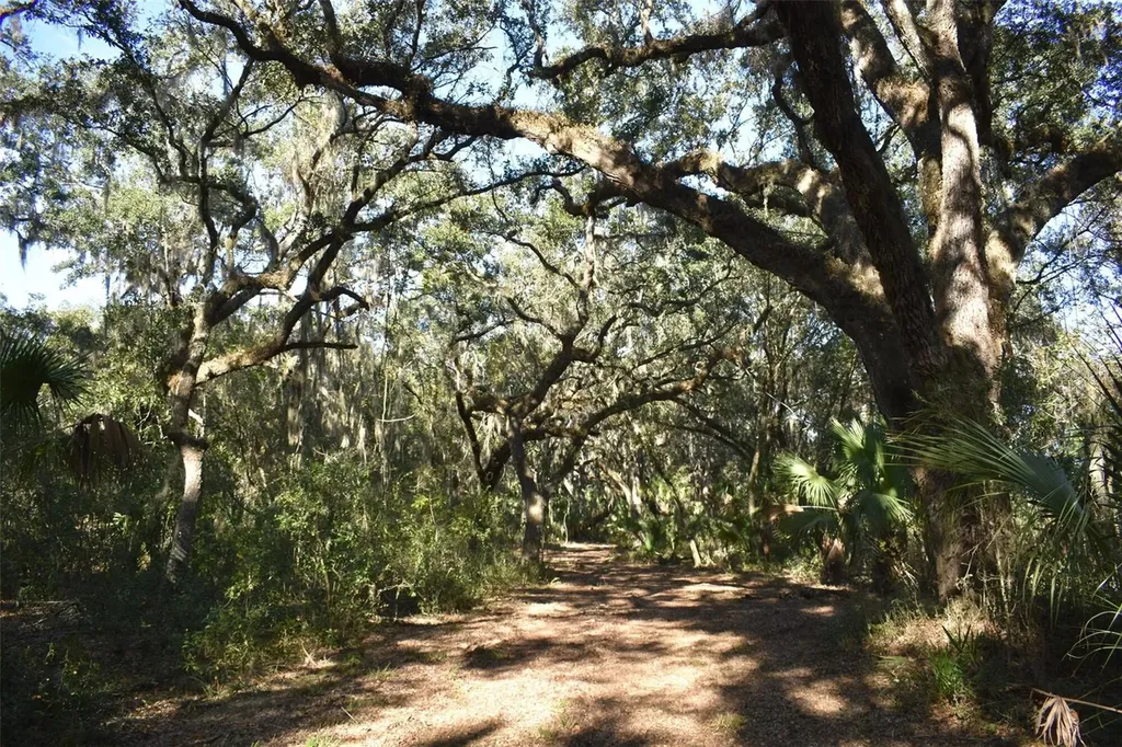 13800 County Road 450 Umatilla FL 32784