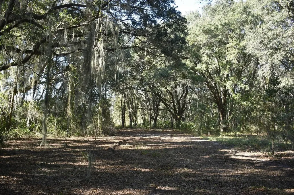 13800 County Road 450 Umatilla FL 32784