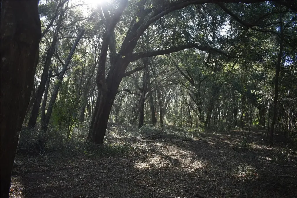 13800 County Road 450 Umatilla FL 32784