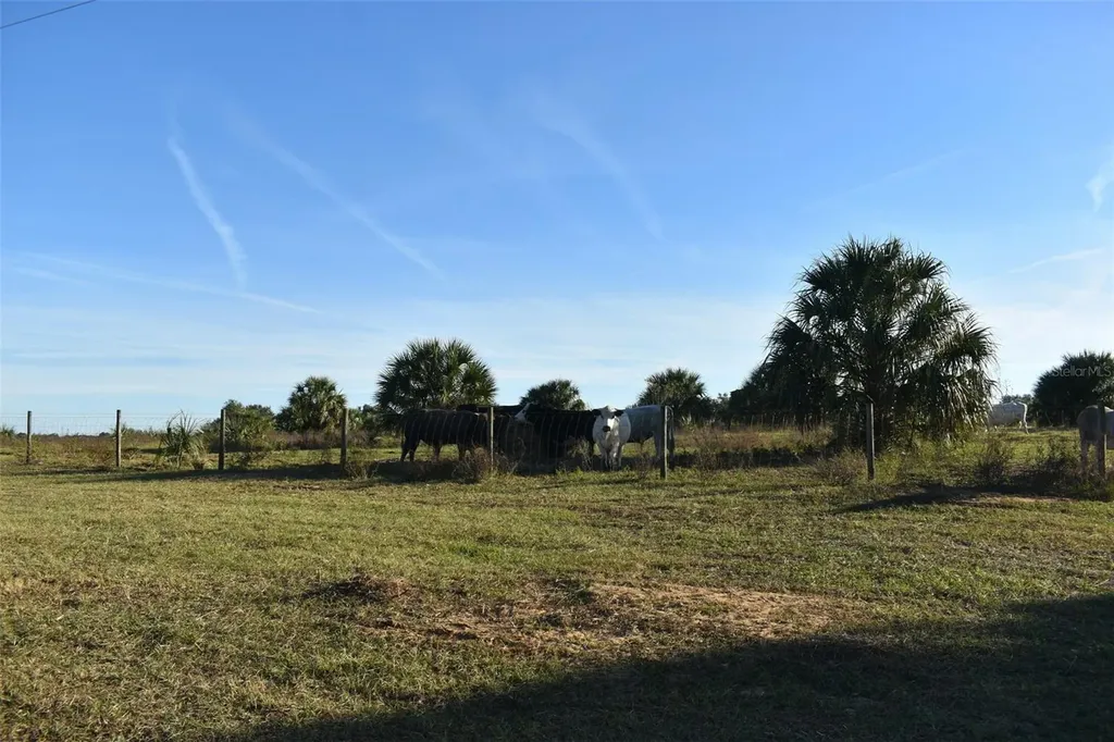 13800 County Road 450 Umatilla FL 32784