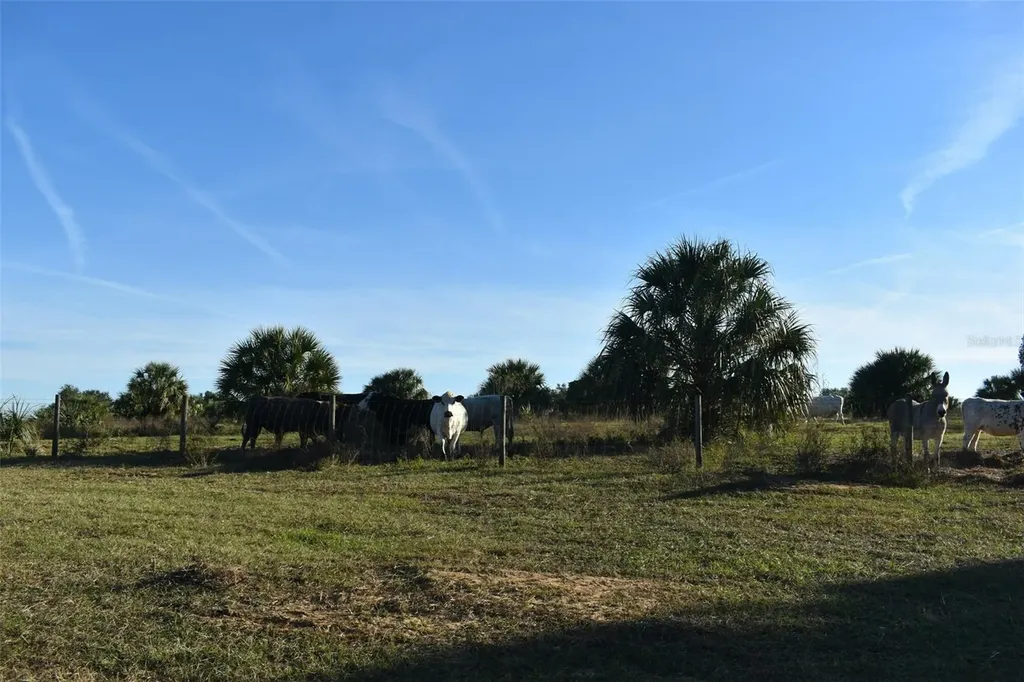 13800 County Road 450 Umatilla FL 32784