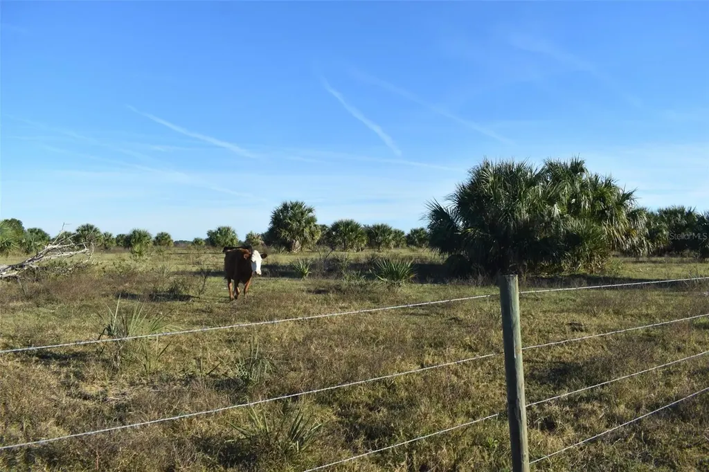 13800 County Road 450 Umatilla FL 32784