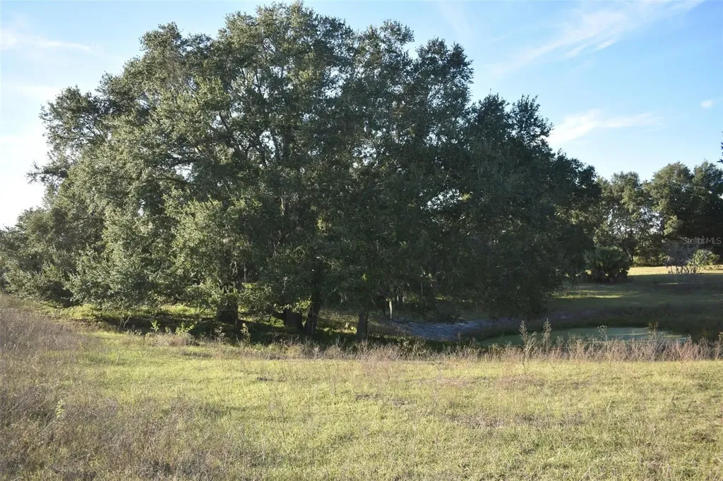 13800 County Road 450 Umatilla FL 32784