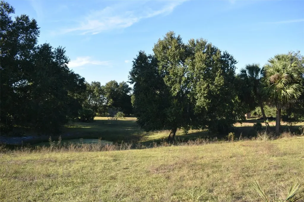 13800 County Road 450 Umatilla FL 32784