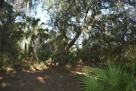 13800 County Road 450 Umatilla FL 32784