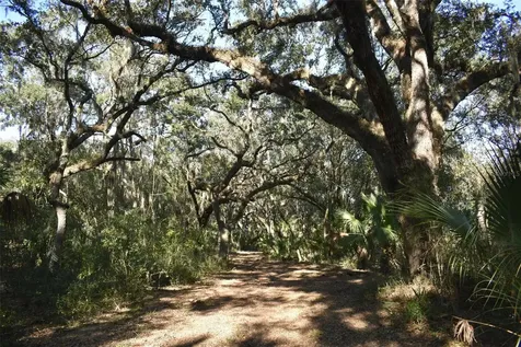 13800 County Road 450 Umatilla FL 32784