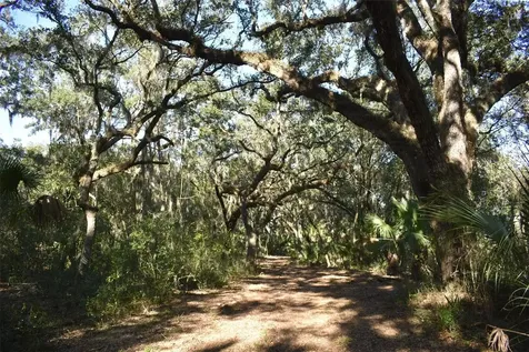 13800 County Road 450 Umatilla FL 32784