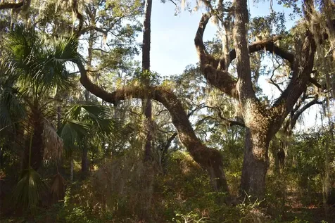 13800 County Road 450 Umatilla FL 32784