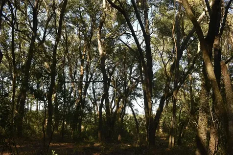 13800 County Road 450 Umatilla FL 32784