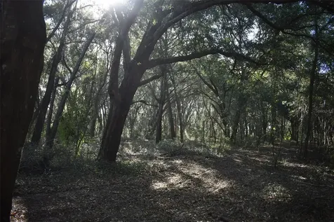 13800 County Road 450 Umatilla FL 32784