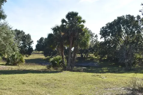 13800 County Road 450 Umatilla FL 32784