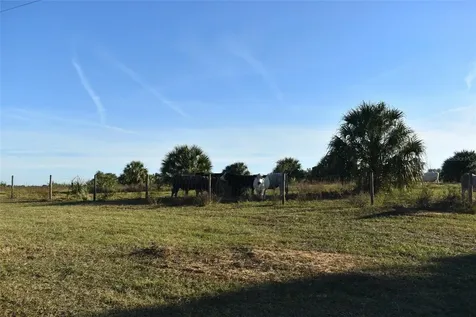 13800 County Road 450 Umatilla FL 32784