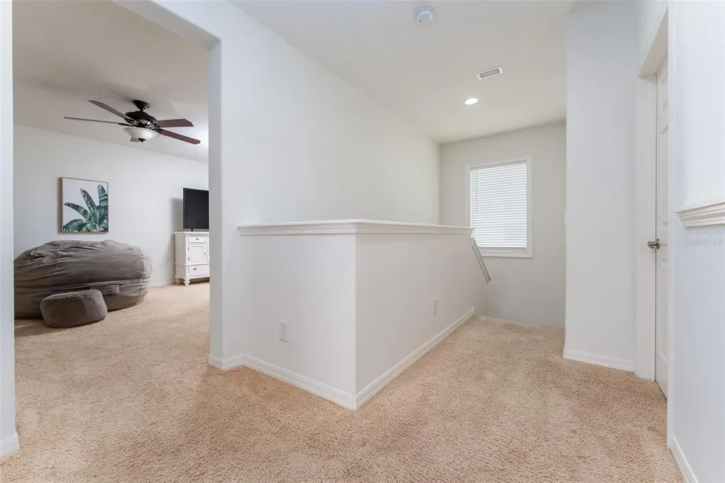 16007 Loneoak View Drive Lithia FL 33547