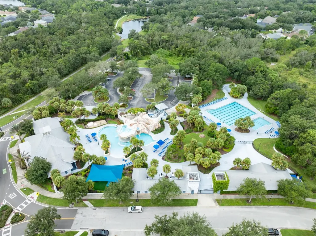 16007 Loneoak View Drive Lithia FL 33547