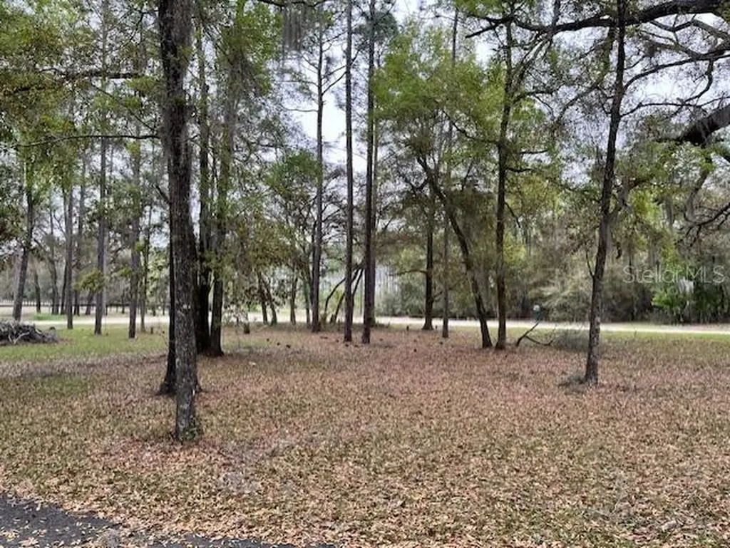 14890 SE 20th Street Morriston FL 32668