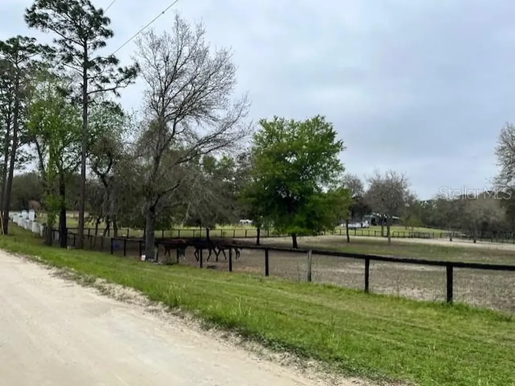 14890 SE 20th Street Morriston FL 32668