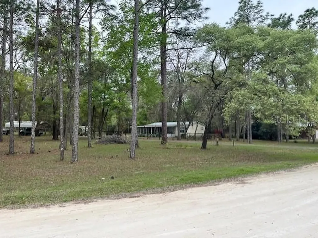 14890 SE 20th Street Morriston FL 32668