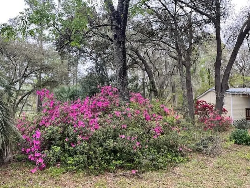 14890 SE 20th Street Morriston FL 32668