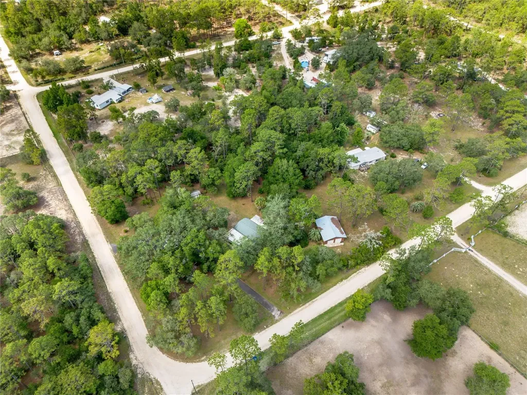 14890 SE 20th Street Morriston FL 32668