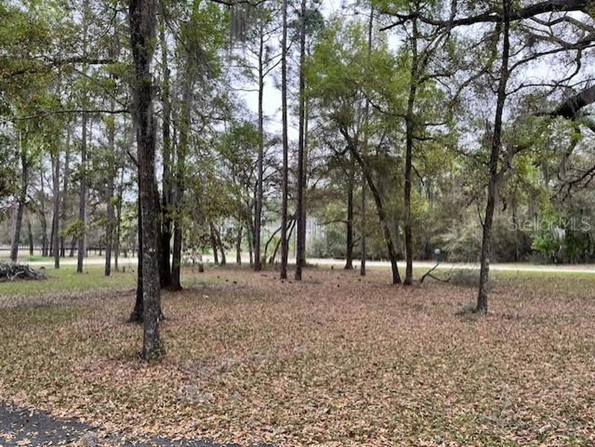 14890 SE 20th Street Morriston FL 32668