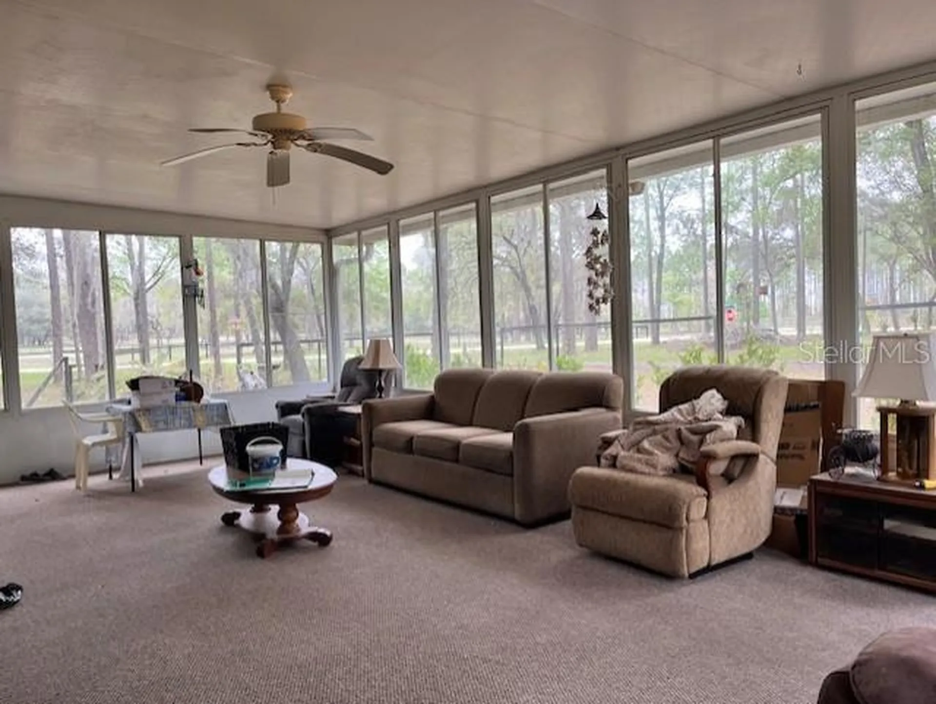 14890 SE 20th Street Morriston FL 32668