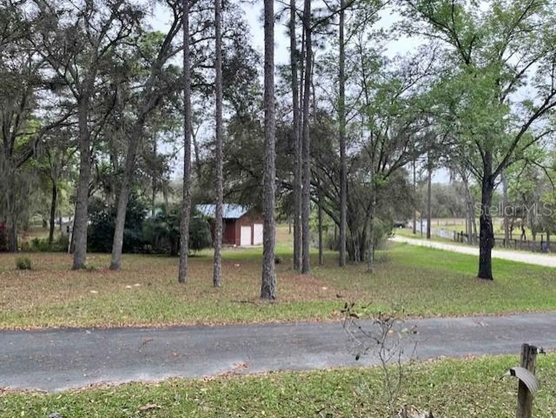 14890 SE 20th Street Morriston FL 32668