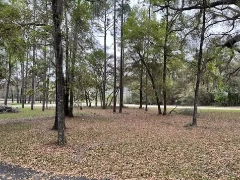 14890 SE 20th Street Morriston FL 32668