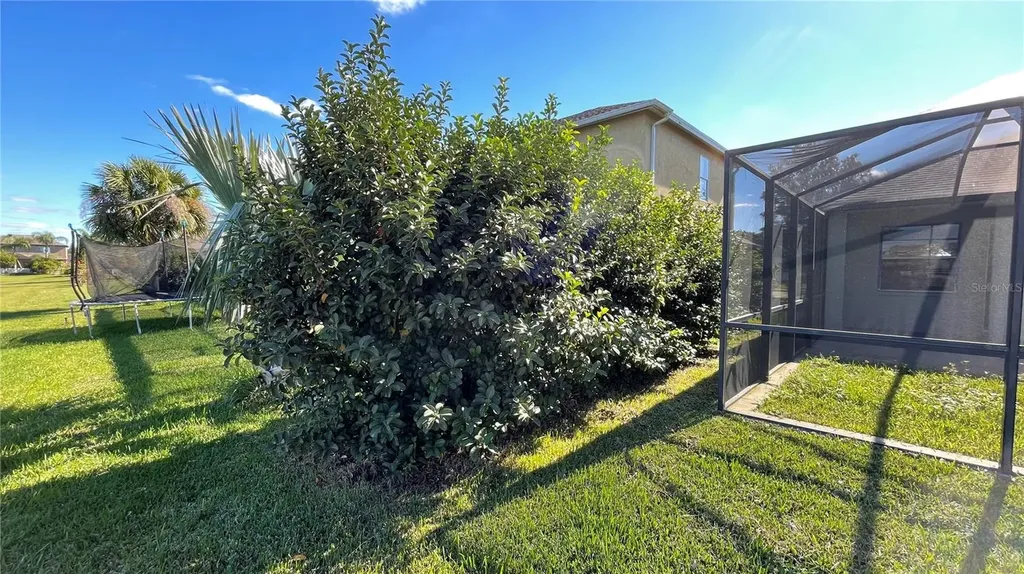 11510 Harlan Eddy Court Riverview FL 33579
