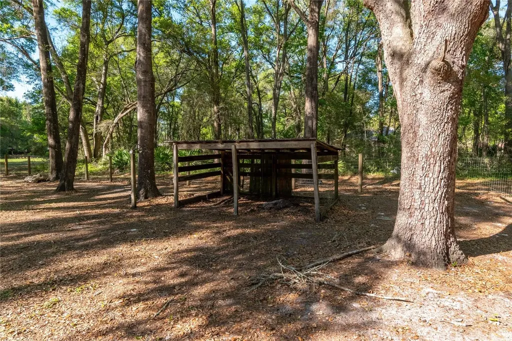 3005 SE 160th Lane Road Summerfield FL 34491