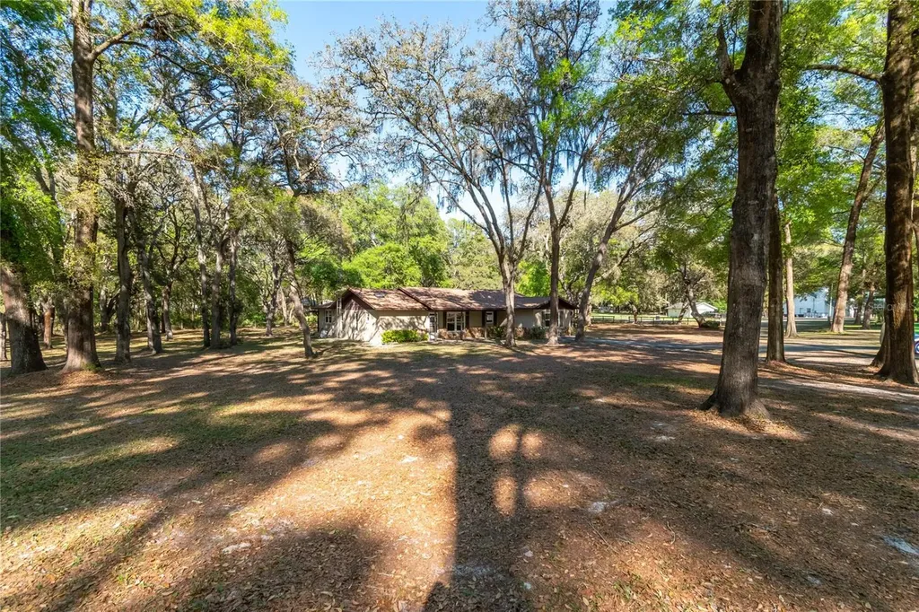 3005 SE 160th Lane Road Summerfield FL 34491