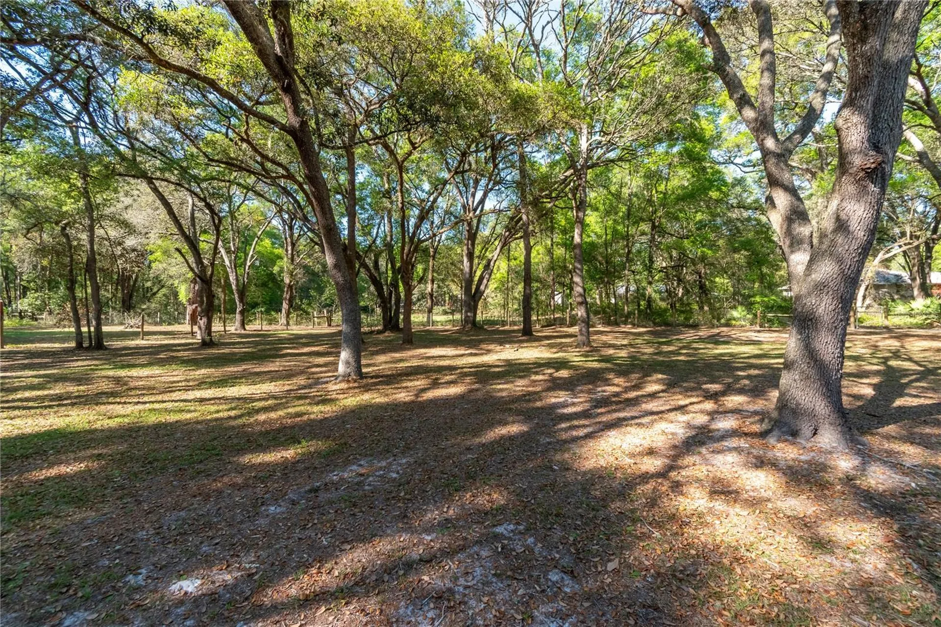 3005 SE 160th Lane Road Summerfield FL 34491