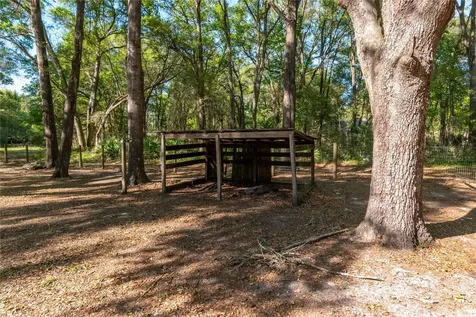 3005 SE 160th Lane Road Summerfield FL 34491